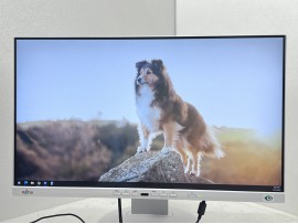 Fujitsu P24-9 TE 24" (клас А)