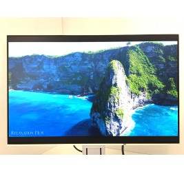 Eizo FlexScan EV2456 24" (клас А)