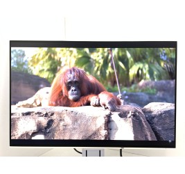 Eizo FlexScan EV2456 24" (клас А)