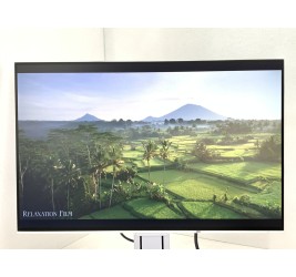 Eizo FlexScan EV2456 24" (клас А)