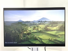 Eizo FlexScan EV2456 24" (клас А)