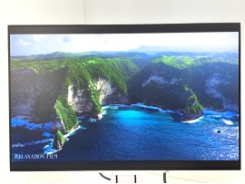 Eizo FlexScan EV2456 24" (клас А)