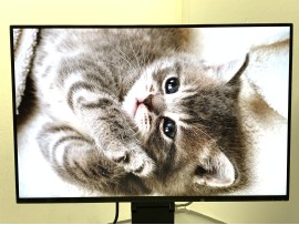 Eizo FlexScan EV2456 24" (клас А)