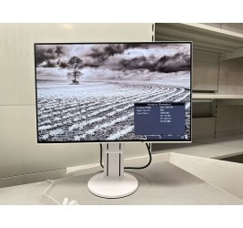 Eizo FlexScan EV2456 24" (клас А)