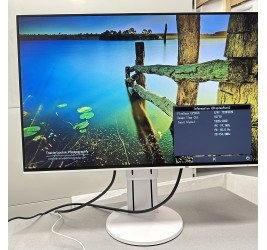 Eizo FlexScan EV2456 24" (клас А)