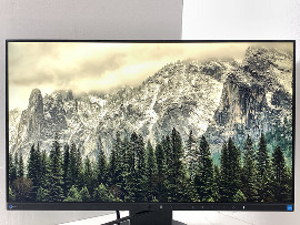 Монитор Eizo FlexScan EV2450 24" (клас Б)