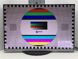 Монитор Eizo FlexScan EV2455 24" (клас Б)