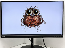 Монитор Lenovo ThinkVision P27q-10 27" (клас А)