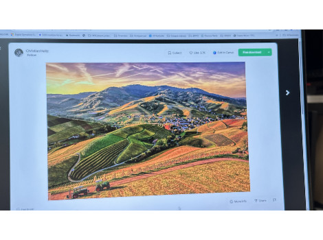 Dell UltraSharp U2415b 24" (клас А)