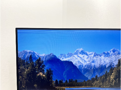 Eizo FlexScan EV2456 24" (клас Б)